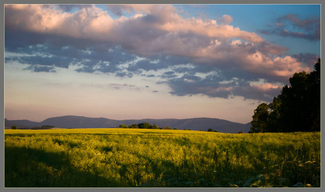 Zawidowskie pejzaże
