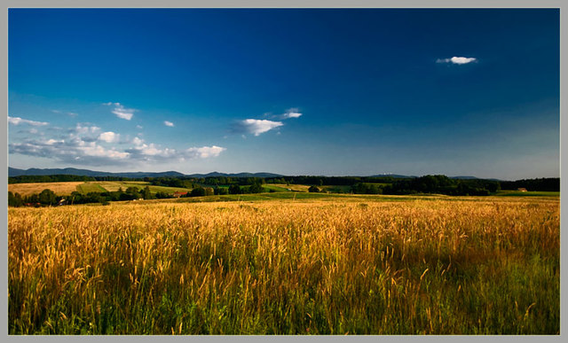 Zawidowskie pejzaże