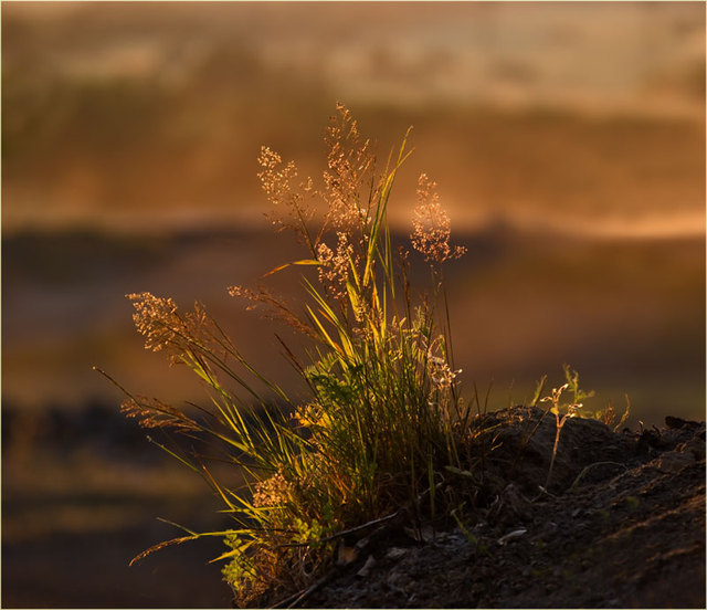 Zawidowskie pejzaże