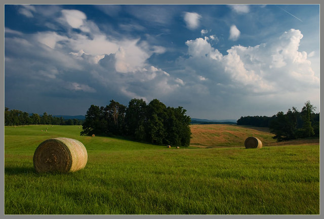 Zawidowskie pejzaże