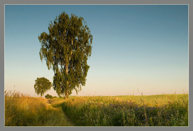 Zawidowskie pejzaże