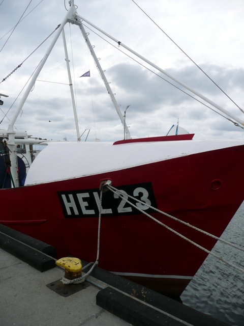 Kuter Hel-23