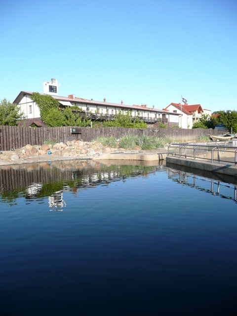 W helskim fokarium