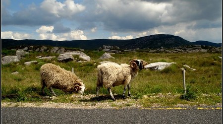 Connemara – Irlandia