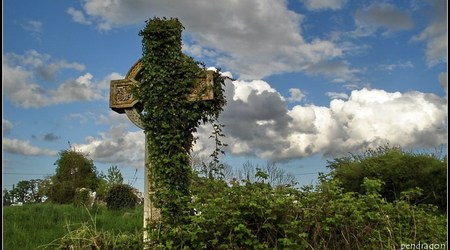 High Cross Yellow Furze – Kells, Irlandia