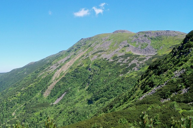 Babia
