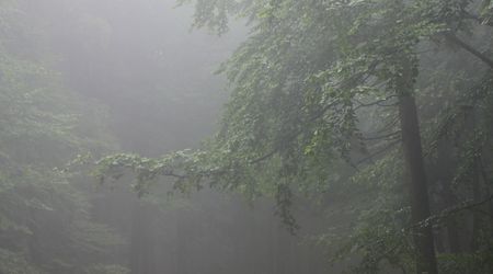 w drodze na Św. Krzyż – Święty Krzyż, Polska