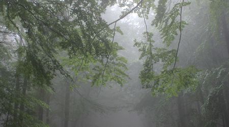 w drodze na Św. Krzyż3 – Święty Krzyż, Polska