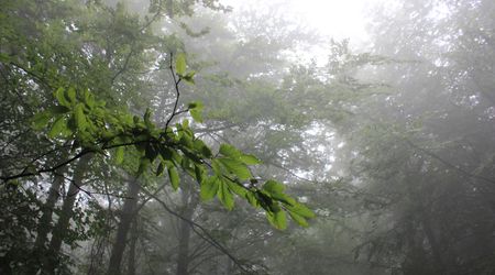 w drodze na Św. Krzyż5 – Święty Krzyż, Polska