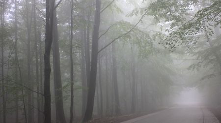 w drodze na Św. Krzyż7 – Święty Krzyż, Polska