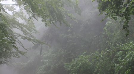 w drodze na Św. Krzyż8 – Święty Krzyż, Polska