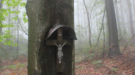 w drodze na Św. Krzyż9 – Święty Krzyż, Polska