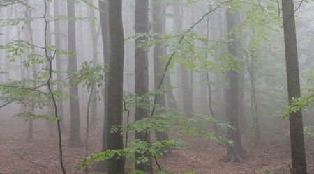 w drodze na Św. Krzyż12 – Święty Krzyż, Polska