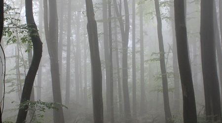 w drodze na Św. Krzyż14 – Święty Krzyż, Polska