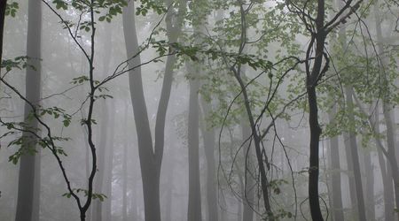 w drodze na Św. Krzyż15 – Święty Krzyż, Polska