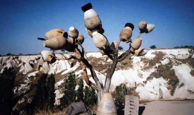 Dzbanki