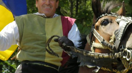 Grunwald 2010 - bohaterzy – Polska