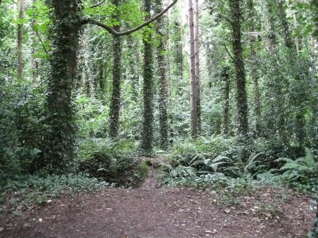 Malahide