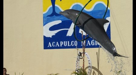 Skok przez obręcz – Acapulco de Juárez, Meksyk