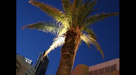 Surfers Paradise – Gold Coast, Australia