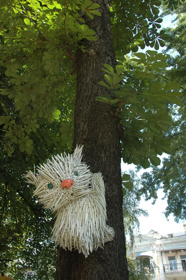 Dsc 5116
