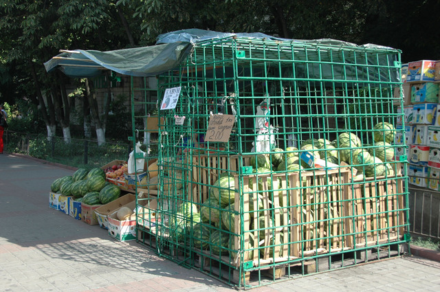 Dsc 5676