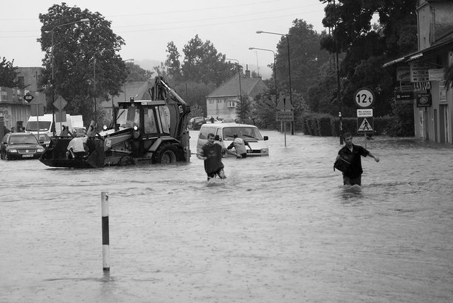 Zawidów