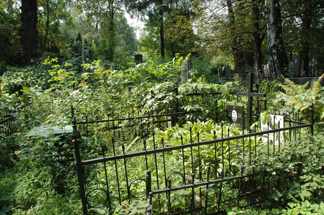 Dsc 5881 Cmentarz Bajkowy