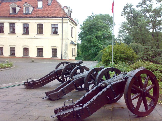 20100728281
