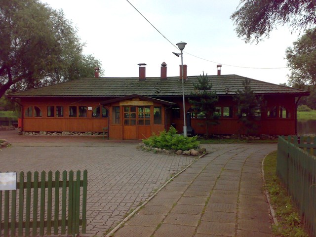 20100728284