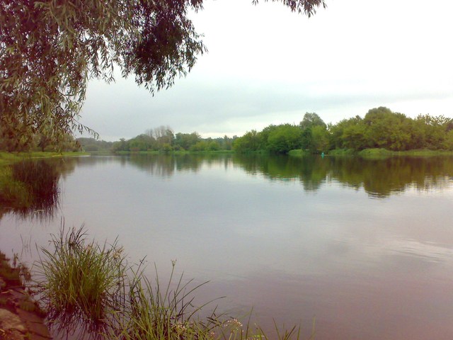 20100728286