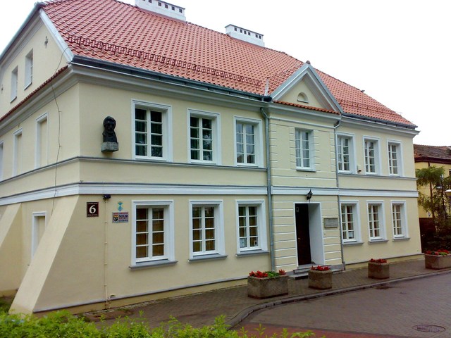 20100728289