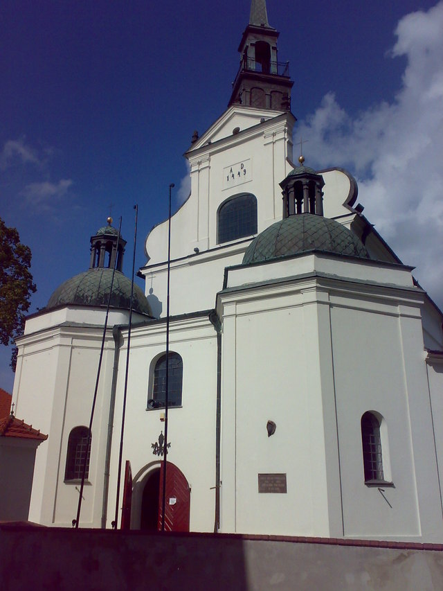 20100729294