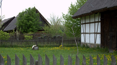 326016 - Dziekanowice Majówkowo – Polska