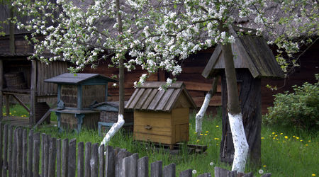 Zagroda z Dobrca – Dziekanowice, Polska