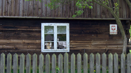 326133 - Dziekanowice Majówkowo – Polska