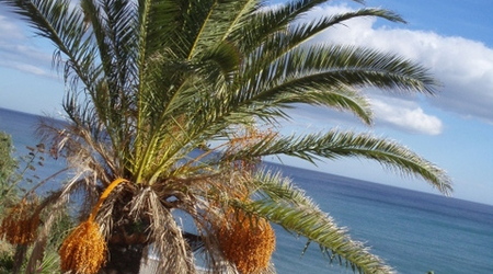 Torremolinos – Hiszpania