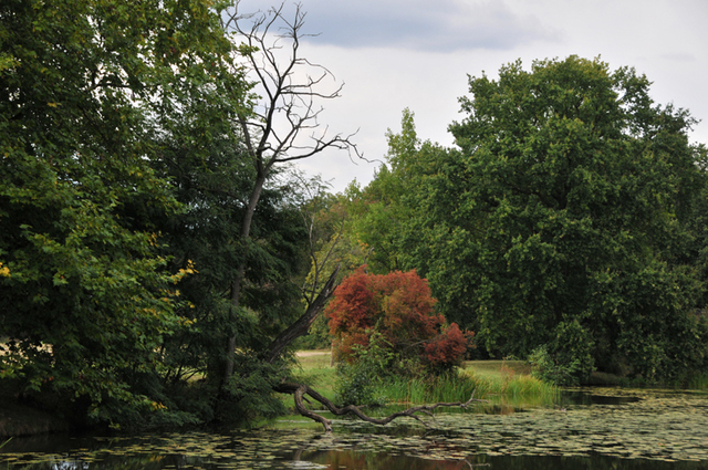 Worlitz park  31 