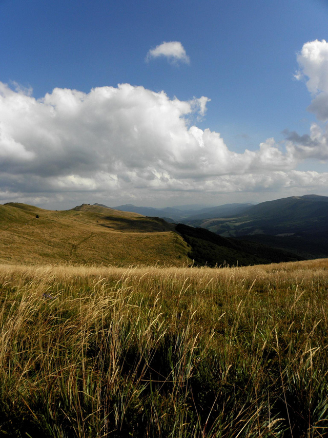 Bieszczady