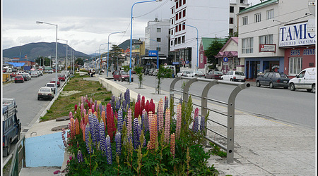 Argentyna 0090 – Ushuaia