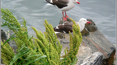 Argentyna 0103 – Ushuaia