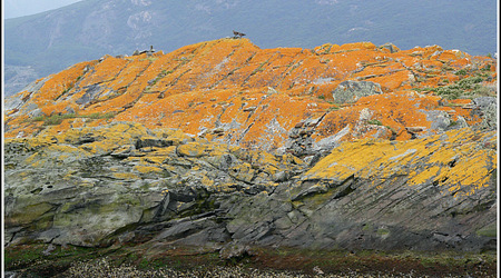 Argentyna 0177 – Ushuaia