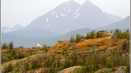 Argentyna 0179 – Ushuaia