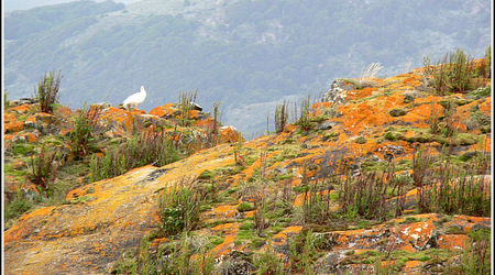 Argentyna 0180 – Ushuaia