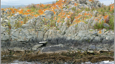 Argentyna 0183 – Ushuaia