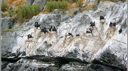 Argentyna 0187 – Ushuaia