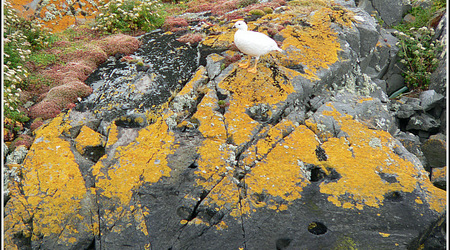 Argentyna 0189 – Ushuaia