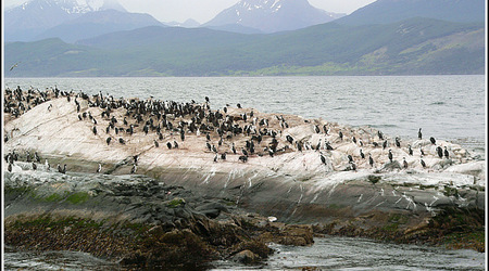 Argentyna 0194 – Ushuaia