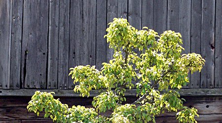 6 – Wdzydze Kiszewskie, Polska