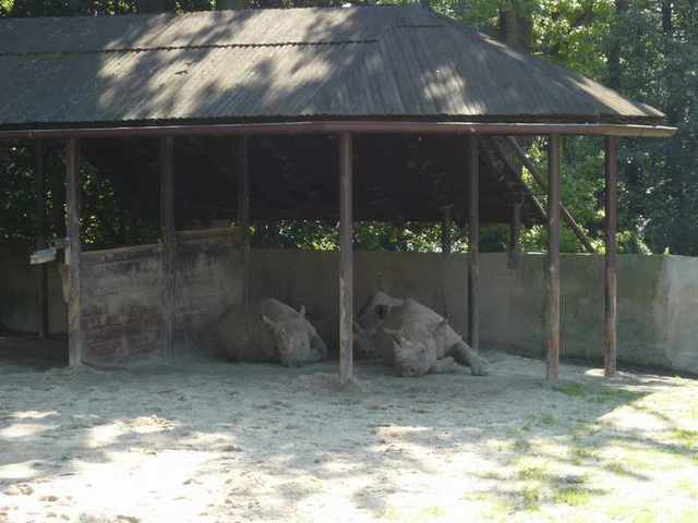 Dvůr Králové -Zoo
